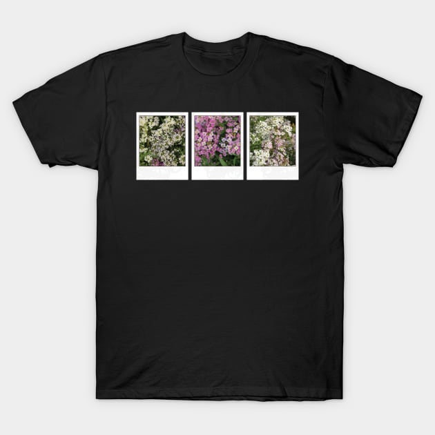 Assylum Photo Collection [mixed bundle] T-Shirt by deadbeatprince typography